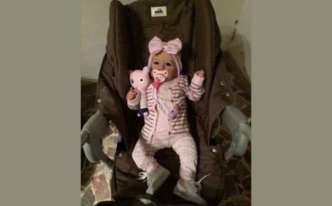 Reborn, la bambola che sostituisce il neonato: �Per chi non pu� essere mamma�